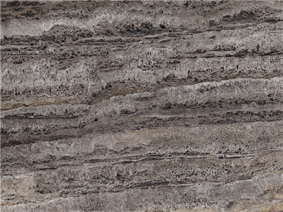 Light Silver Travertine T206